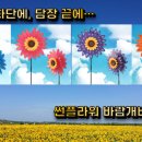 햇살그린어린이집 이미지