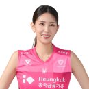독스 윙스 네이버블로그