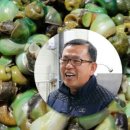 더착한 이미지