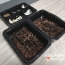 막창굽는연탄할매 이미지