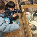 샛별 어린이집 | 샛별어린이집 굼프로 곤충체험