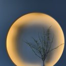 훈증힐링 | 화곡 마사지 청심재스파 아로마테라피 후기 | 부모님 모시고 가고 싶은 힐링 공간