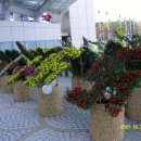 한국생명과학고등학교 이미지