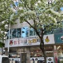 빨강한방왕족발노란치킨
