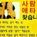팡팡점핑쉬운다이어트