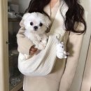 도기냐미 이미지