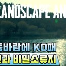 구룡천 네이버블로그