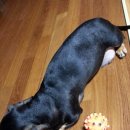 손수의과병원 이미지