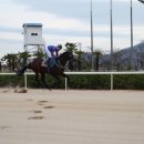 에이스코리아 이미지