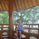 2018.8.5. 군북 얼음굴-칠곡 파인그로브카페 이미지