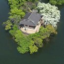 밀양관광호텔 | [경남/추천명소]2026년 4~5월 밀양 위양지 이팝나무 절정 시기, 5월에 꼭 가봐야 할 봄 명소