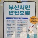 2025년 부산시민안전보험 이미지
