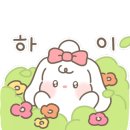 용호1로5번길 이미지