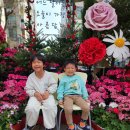 꿈마루도서관 이미지