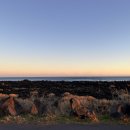 광어다서귀포표선본점 이미지