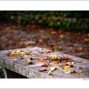 신월동016 이미지