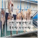 홍원항바다회수산