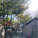 양지 뜰 펜션 | [무주] 양지뜰캠핑장 B-4 내돈내산 비추천