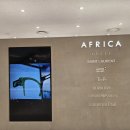 아프리카안경 뉴코아아울렛광명점 | 광명 지역에서 최고의 안경점을 찾고 계신다면, 아프리카안경 롯데몰 광명점을 방문해 보세요!