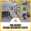 대건어린이집 | 문정 키즈 카페 키즈앤룸 송파개롱역점에서 신나게 놀고 이른 육퇴 성공
