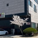 고릴라캠핑(파