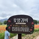삼문동둔치주차장 네이버블로그