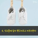 하얀세탁 이미지