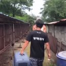 장형농장 이미지