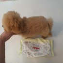 라네쥬 독(Laneige.dog) 네이버블로그