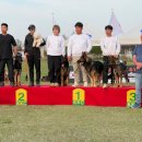 BG독케어센터 이미지