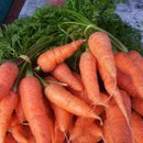 아이비스안경원 이미지