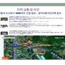 스테이동백 이미지