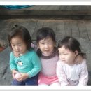 솔밭왓앤와이유치원 이미지