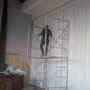 센텀중학교 이미지