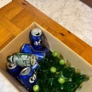 당실 | 당진 애견 한옥 펜션 맨발정원점 개당당실 후기