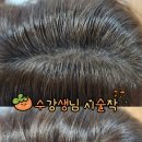 분당서현꽃