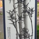 죽화로 네이버블로그
