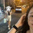 쌀롱이츠 이미지