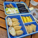 코코라임2 | 도시락 추천 코코라커 밀폐용기 도시락통 반찬통으로 활용하기 좋아