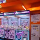 뽑기의 품격 이미지