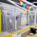 신세계아울렛파주점챔피언 이미지
