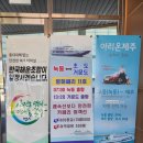녹동신항여객선터미널 네이버블로그