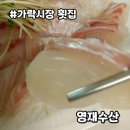 가락시장 횟집 영재수산 모둠회 포장 매운탕 후기