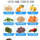 노약사네 이미지