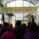 엘지농원 2 이미지