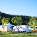 종면농장 이미지