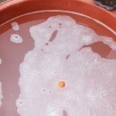 청남농원 이미지