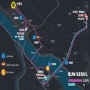 페이스짐 | 인생 첫 마라톤 런린이 서울 하프마라톤 10km 630 페이스 짐보관 꿀팁 후기