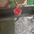 안데르센어린이집 | 🌿 남양주 안데르센 정원 후기 | 아이와 함께한 동화 속 하루 💫