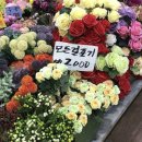 화훼장식기능사(초급) | 2025년 화훼장식기능사 필기시험 후기